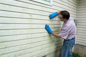 Best Insulated Siding Installation  in Thorndale, TX